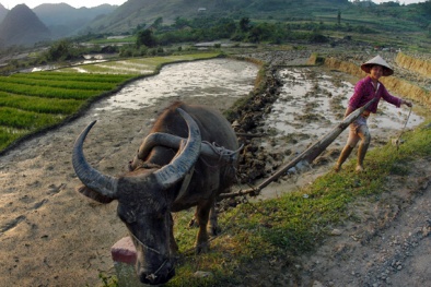 Huyện ủy phấn khởi vì có thêm... xã nghèo